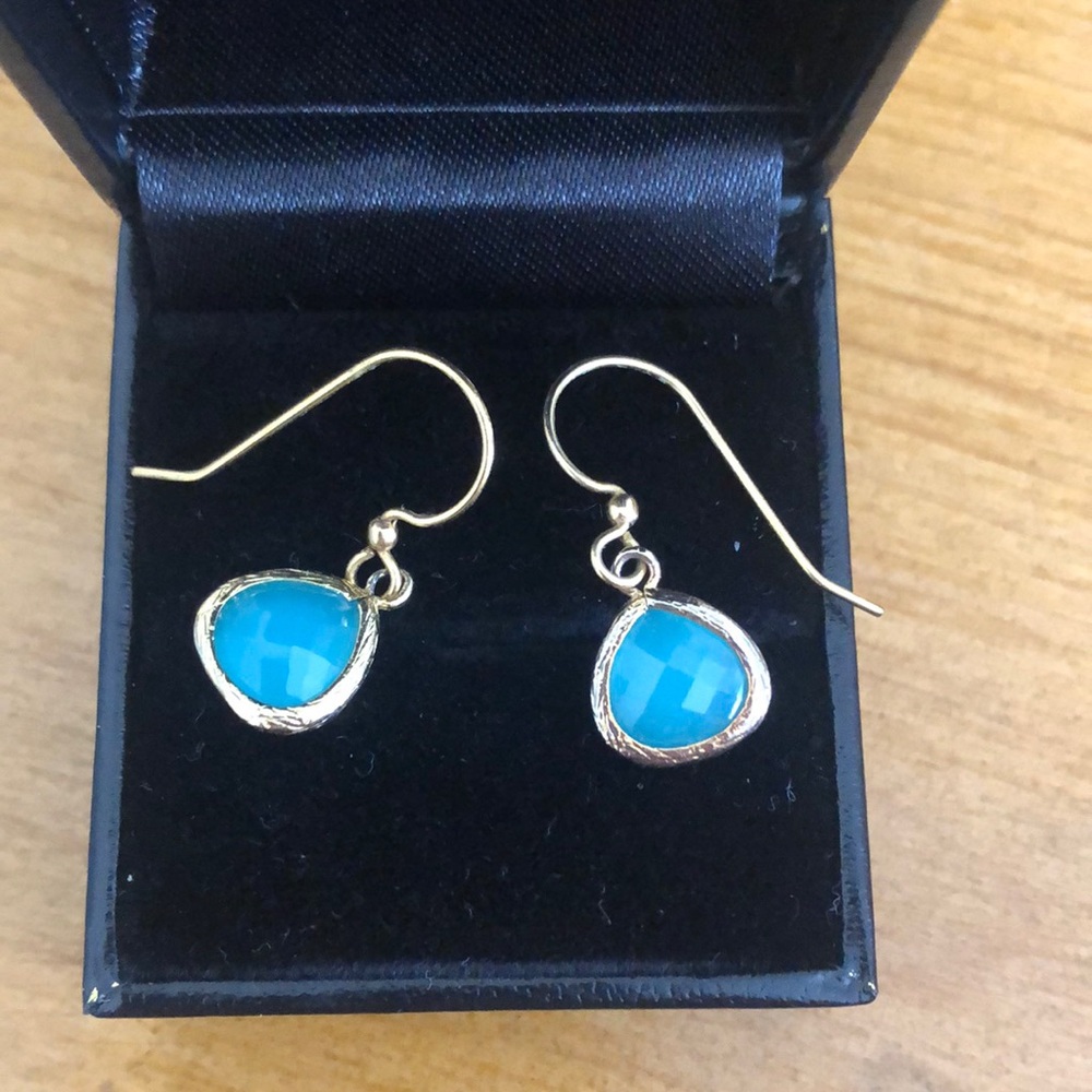 Pair of blue and gold earrings